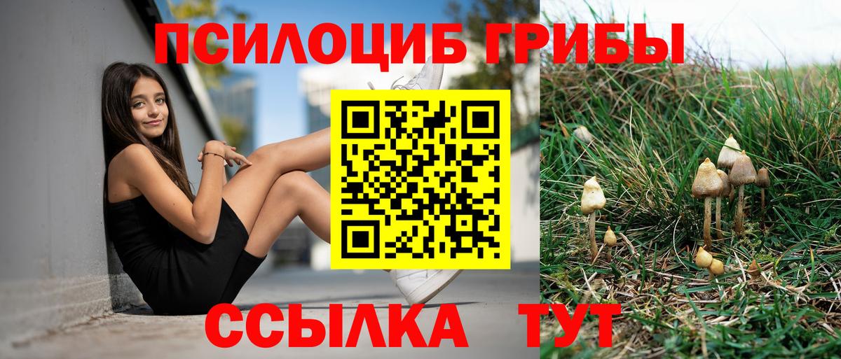 Батайск  Псилоцибиновые грибы GOLDEN TEACHER  закладка  Вход с VPN 